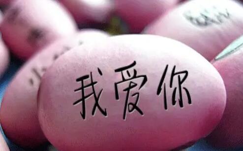 tiamo是什么意思