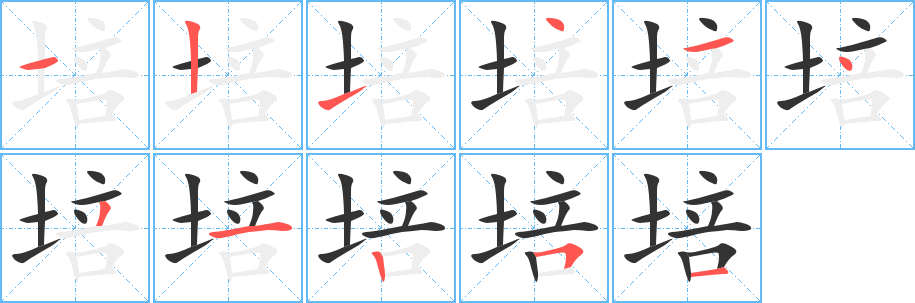 培字的笔顺分步演示