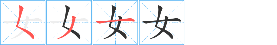 女字的笔顺分步演示