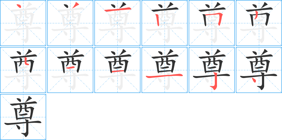 尊字的笔顺分步演示