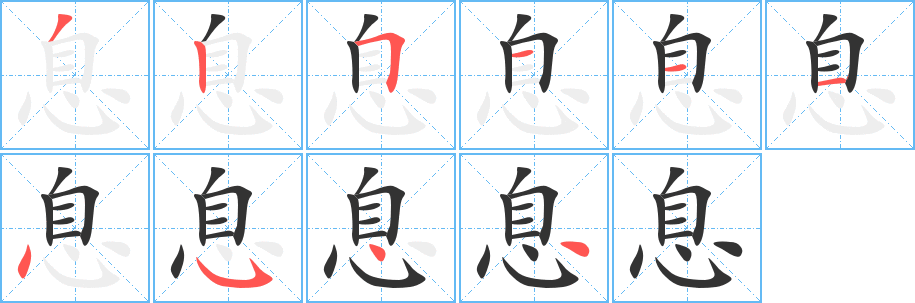 息字的笔顺分步演示