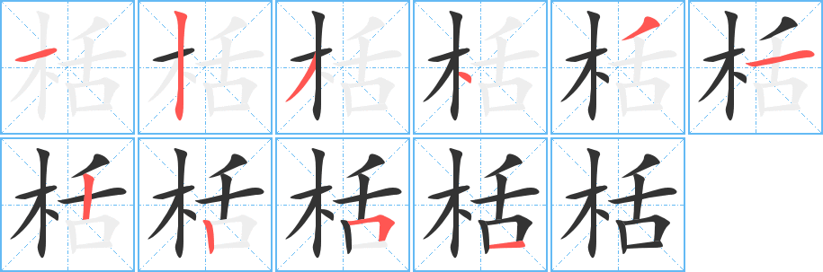 栝字的笔顺分步演示