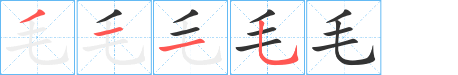 毛字的笔顺分步演示