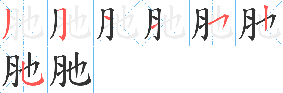 肔字的笔顺分步演示
