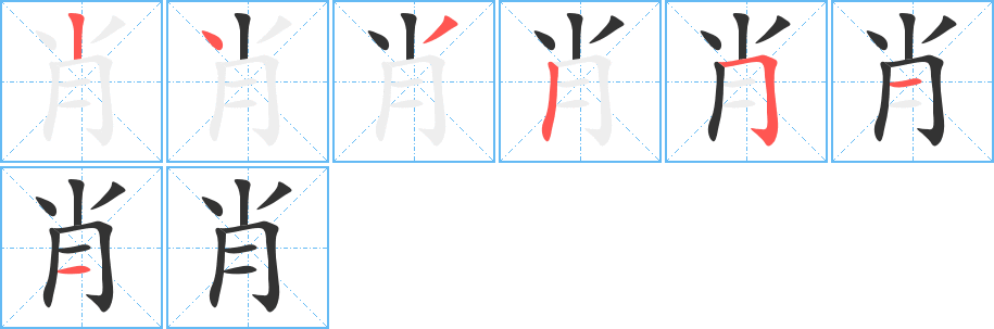 肖字的笔顺分步演示