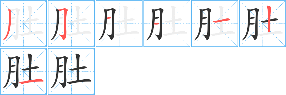 肚字的笔顺分步演示
