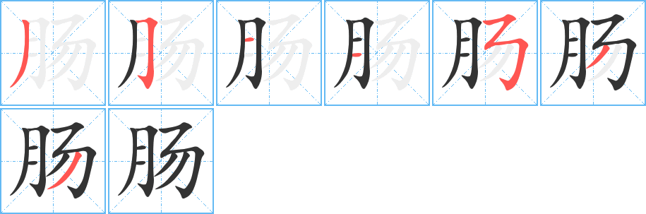 肠字的笔顺分步演示