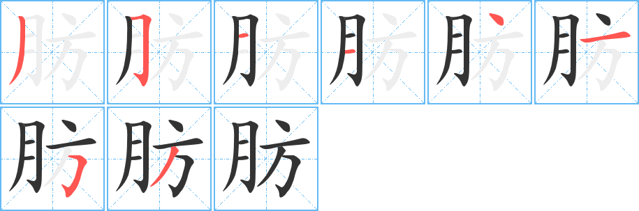 肪字的笔顺分步演示
