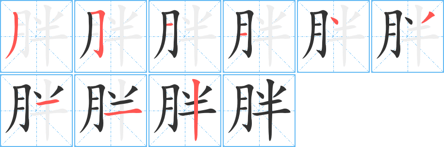 胖字的笔顺分步演示