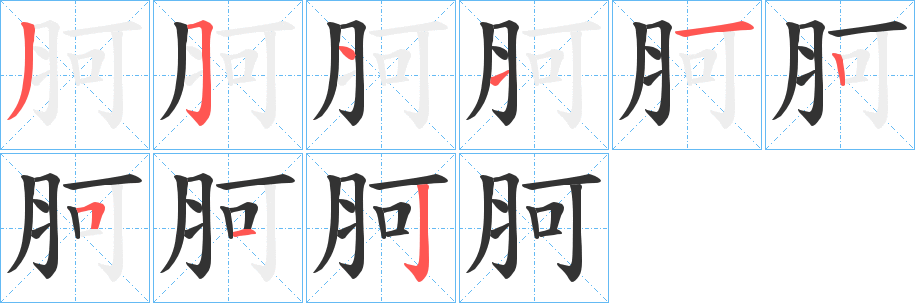 胢字的笔顺分步演示