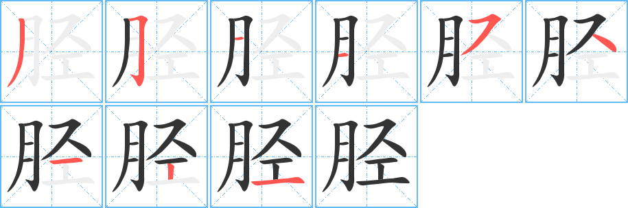 胫字的笔顺分步演示