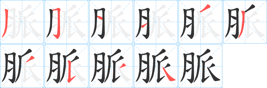 脈字的笔顺分步演示