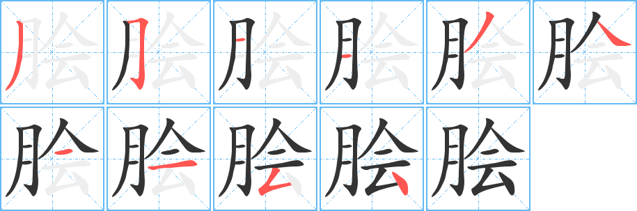 脍字的笔顺分步演示
