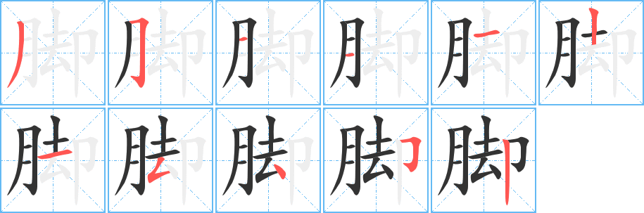 脚字的笔顺分步演示