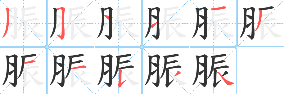 脤字的笔顺分步演示