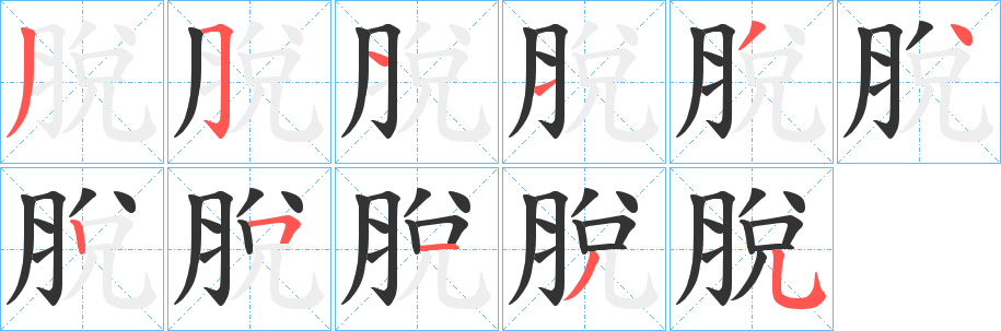 脫字的笔顺分步演示