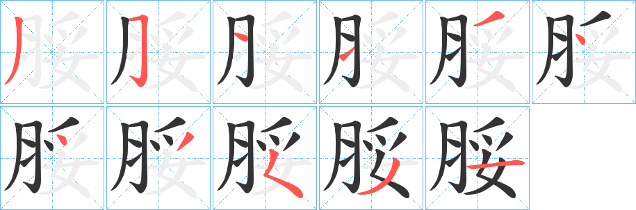脮字的笔顺分步演示