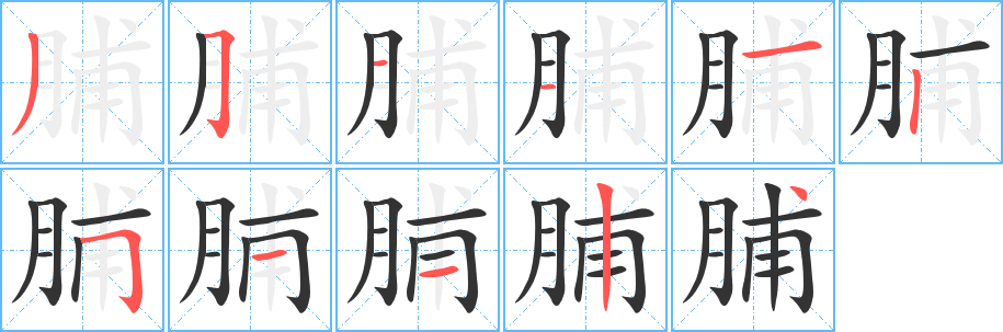 脯字的笔顺分步演示