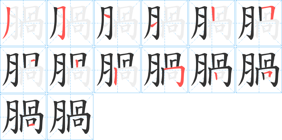 腡字的笔顺分步演示