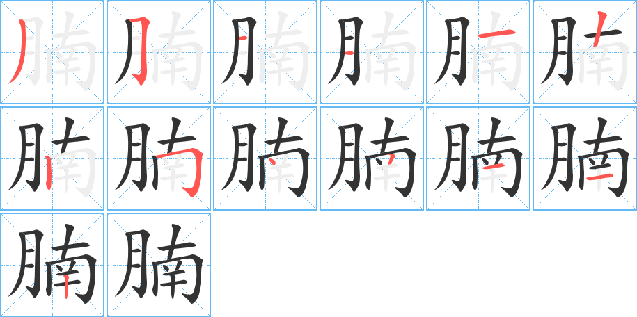 腩字的笔顺分步演示