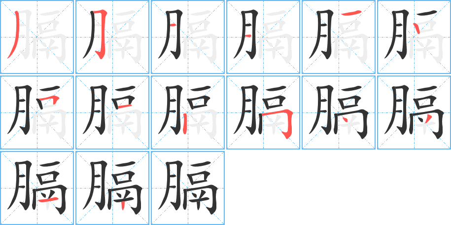 膈字的笔顺分步演示