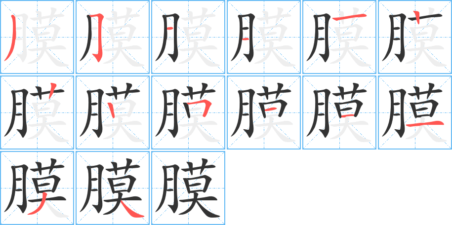 膜字的笔顺分步演示