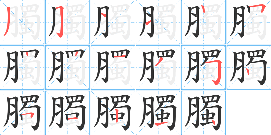 臅字的笔顺分步演示
