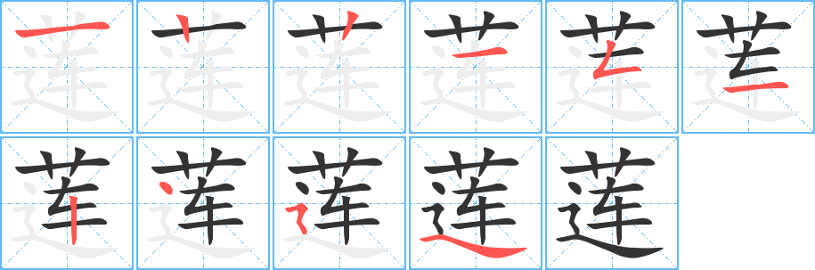 莲字的笔顺分步演示