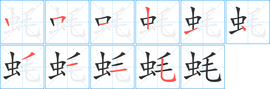 蚝字的笔顺分步演示