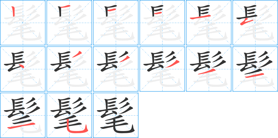 髦字的笔顺分步演示