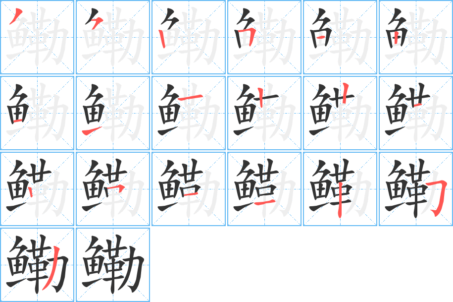 鳓字的笔顺分步演示