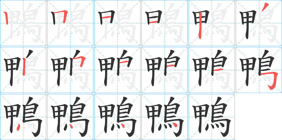 鴨字的笔顺分步演示