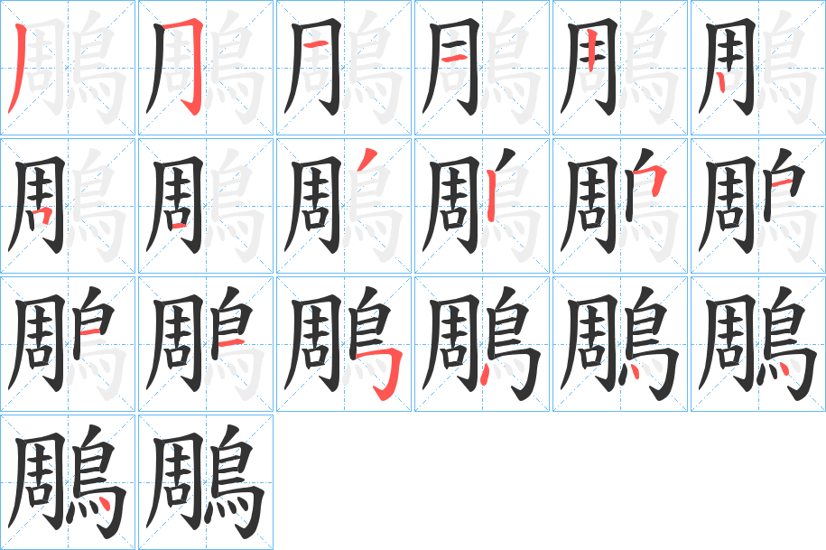 鵰字的笔顺分步演示