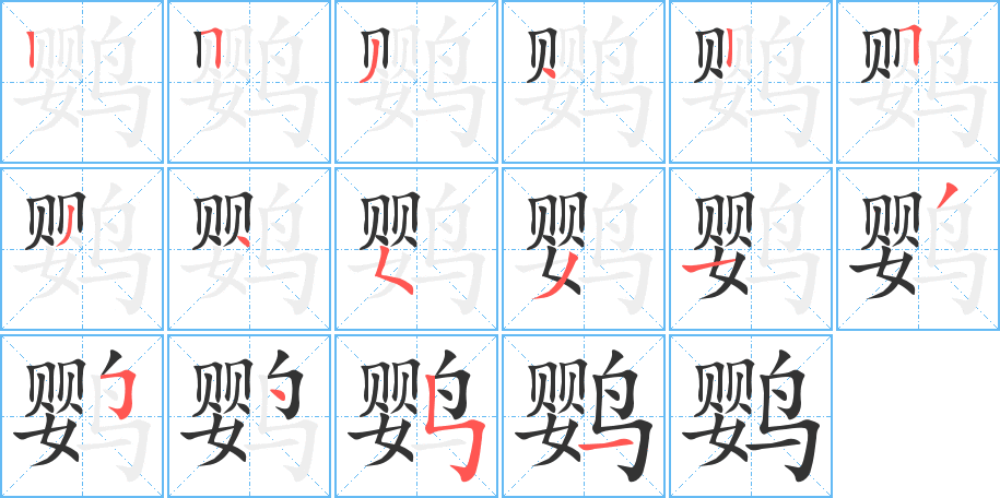 鹦字的笔顺分步演示